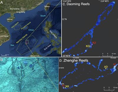 In situ hydrodynamic observations on three reef flats in the Nansha Islands, South China Sea